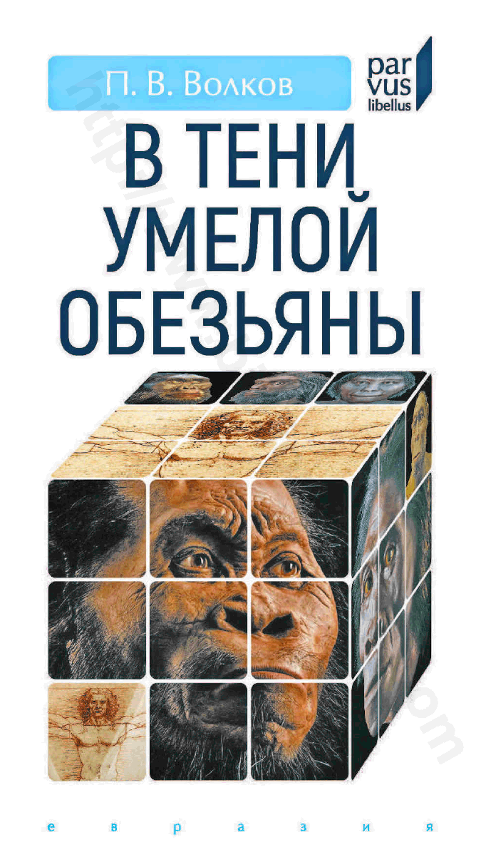В тени умелой обезьяны