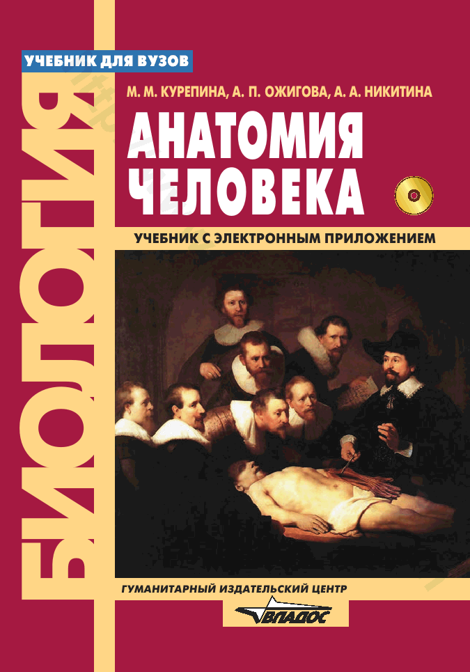 Анатомия человека. Учебник для студентов вузов